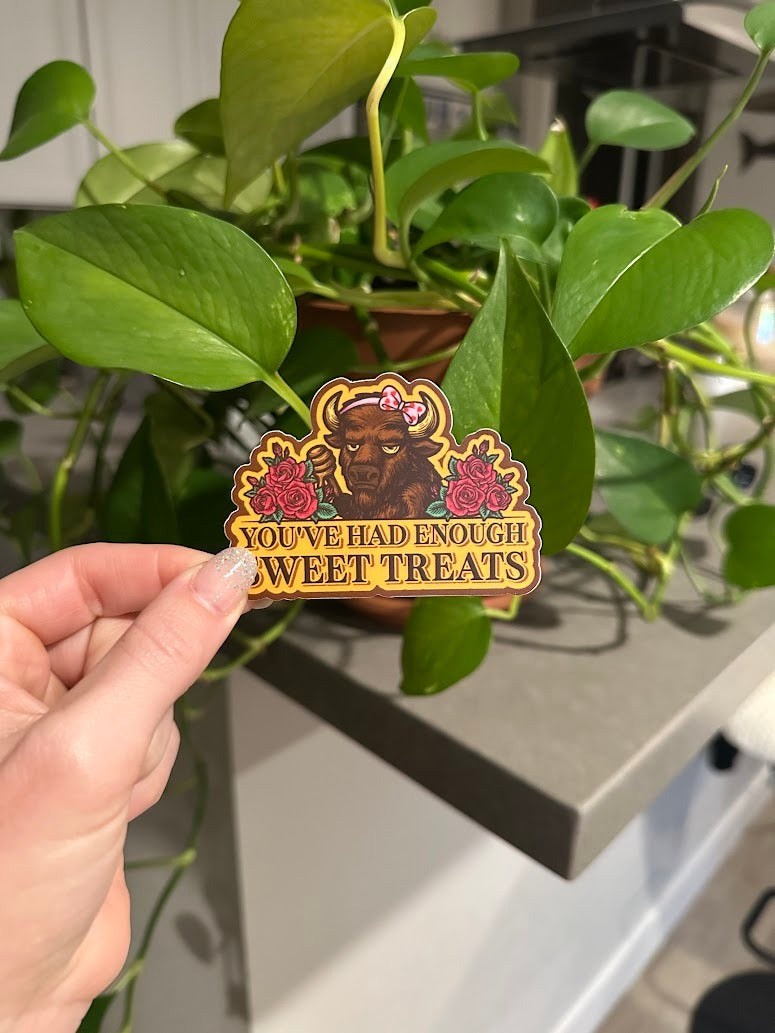 You’ve Had Enough Sweet Treats | VALENTINES EDITION ♥️💘