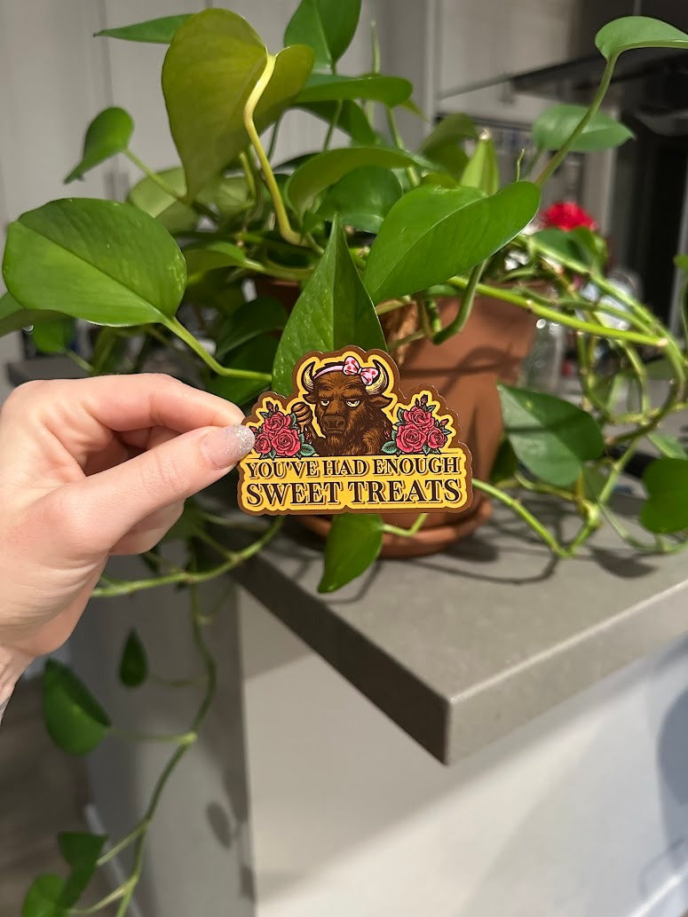 You’ve Had Enough Sweet Treats | VALENTINES EDITION ♥️💘